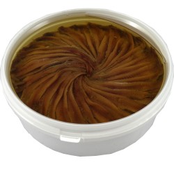 Filet d'anchois allongé à l'huile 800 gr Vanelli